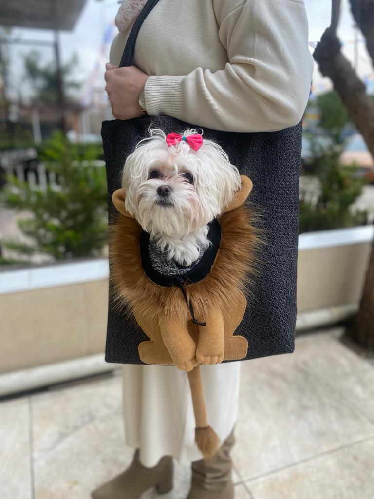 Müdür - Müdür Pet Aslan Model Omuz Çantası Antrasit